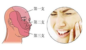 &#108;&#101;&#121;&#117;&#20048;&#40060;