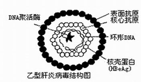 &#108;&#101;&#121;&#117;&#20048;&#40060;