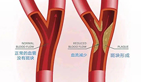 &#108;&#101;&#121;&#117;&#20048;&#40060;